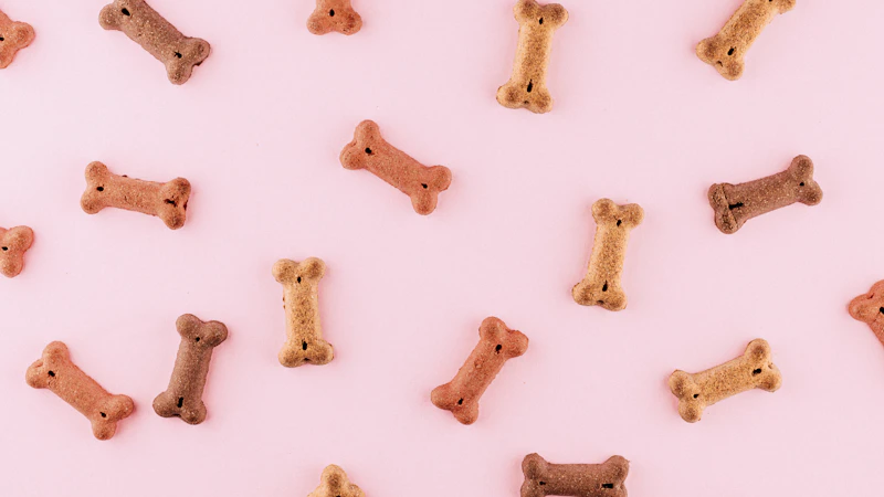 Positive Reinforcement Dog Training: Complete Guide