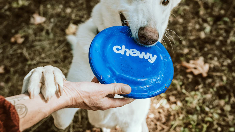 Puppy mouthing hand during play interaction